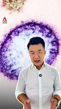 CNA Explains: Nipah virus - what you need to know
