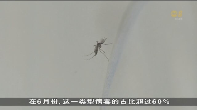 本地今年4月到6月间有两人因骨痛热症病逝