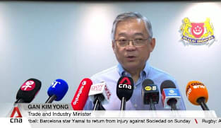 Firms need to reorganise amid changing tariff environment: DPM Gan