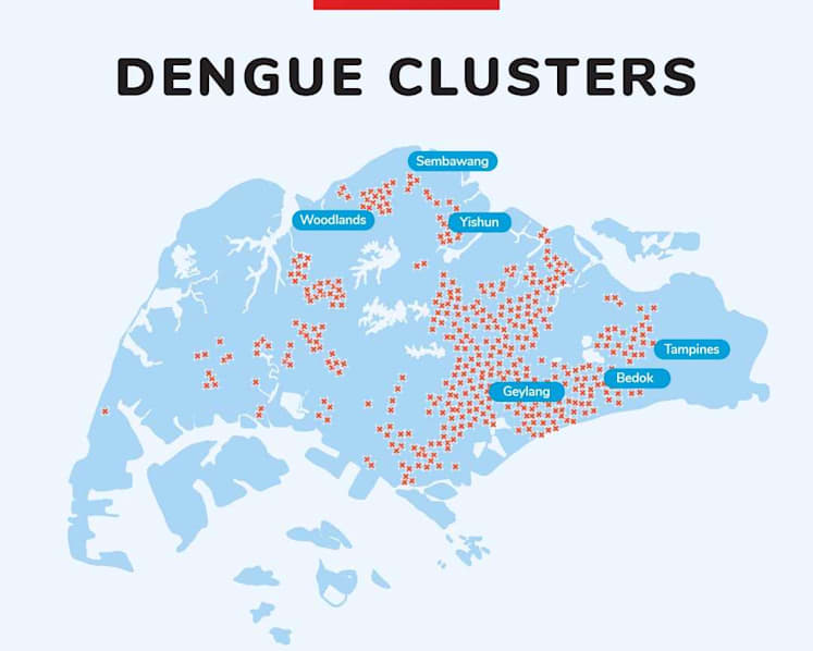 Explainer: Why Singapore's east and north tend to suffer the largest dengue clusters every year