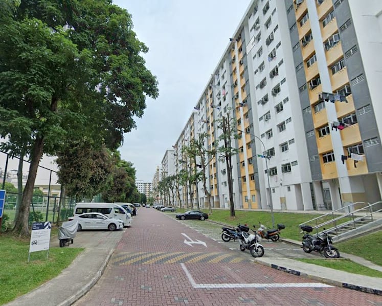 Man arrested over alleged cat abuse at Ang Mo Kio 