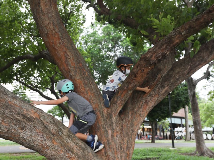 Resilience can be developed anytime, but it is better at a young age when the brain is more adaptable, says the author.