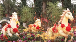 Tanglung kuda serikan Taman di Pesisiran sempena Tahun Baharu Cina