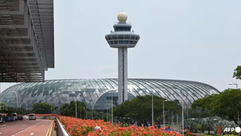 Lelaki diberkas dipercayai curi beg penumpang kelas niaga dalam penerbangan ke SG