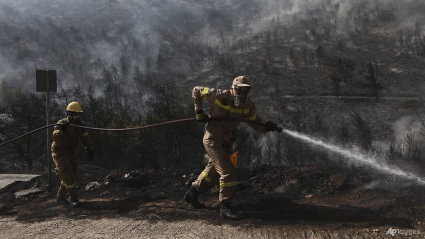 Greek firefighters battle blaze near Athens for second day