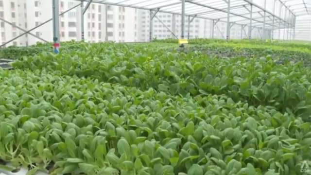许宝琨：近几个月有农场关闭 但数量仍保持稳定