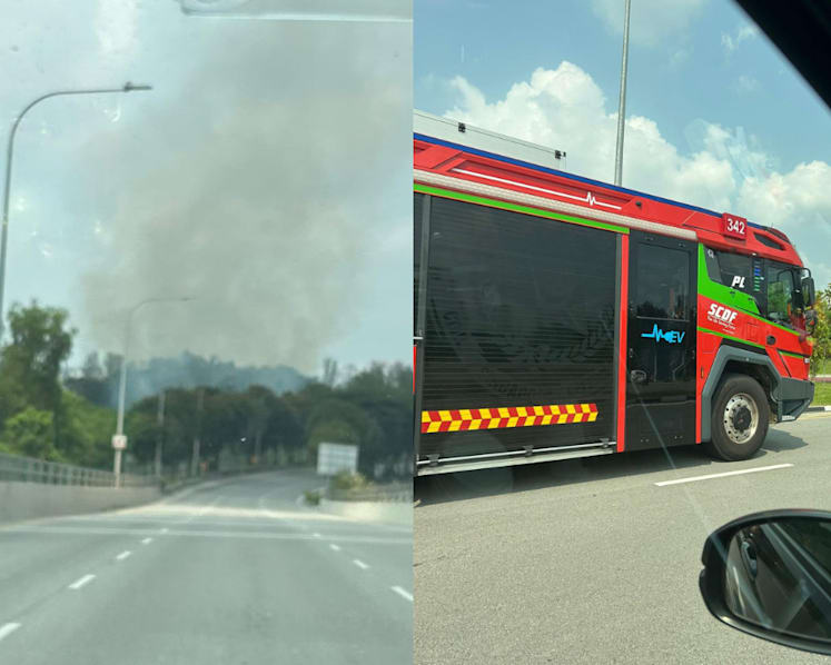 Fire involving about 3ha of greenery extinguished near Seletar Link 