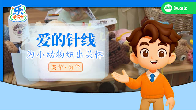 【高华快华】爱的针线　为小动物织出关怀