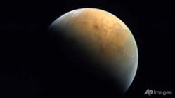 Related article image