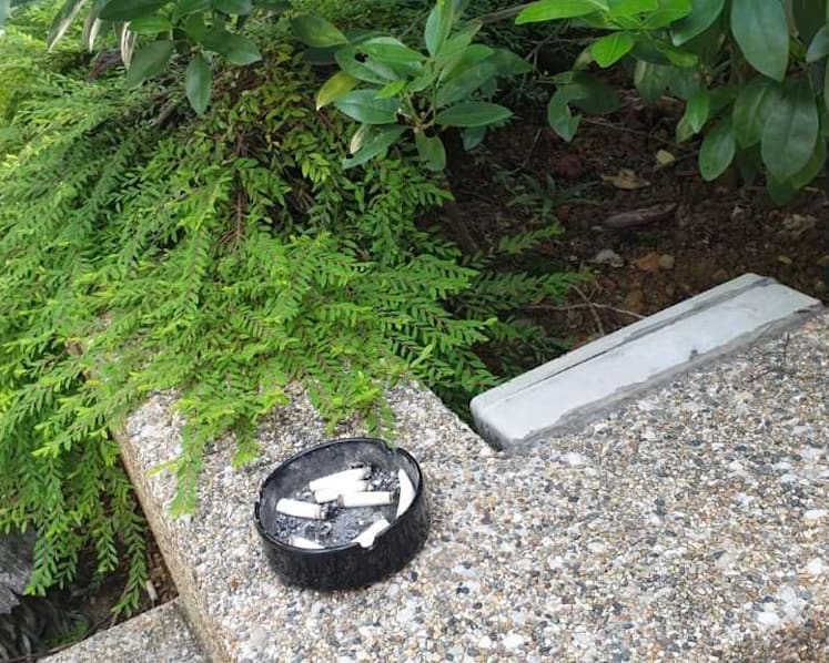 Disobeying ‘toothless’ security guards, some condo residents flout mask requirement, safe-distancing rules