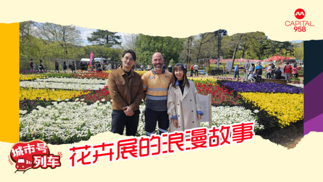 花卉展的浪漫故事