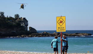 Sydney reopens beach under heavy patrols after shark attack