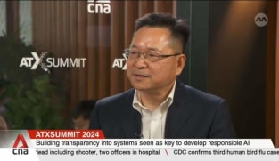 AI regulation should be dynamic and adaptable due to changing technologies: Analyst