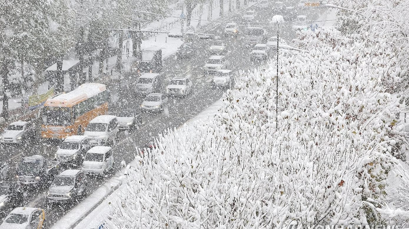 韩国出现强降雪近240趟航班客船被取消- 8world
