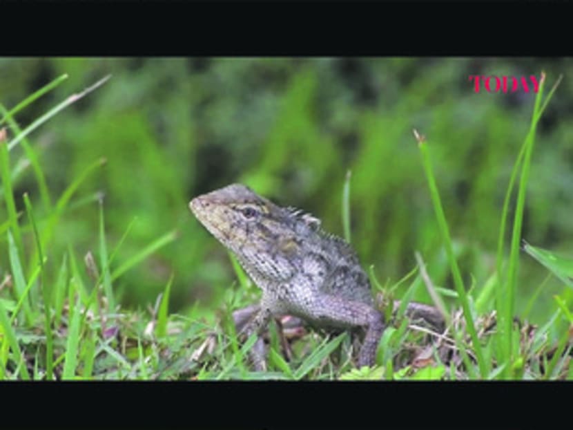 What’s in this eco-haven?