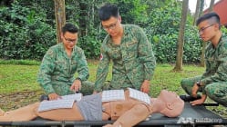 Related article image