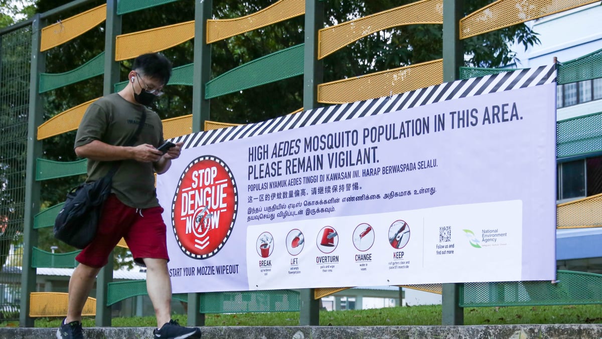 NEA urges immediate action to avoid surge in dengue cases, flags large ...