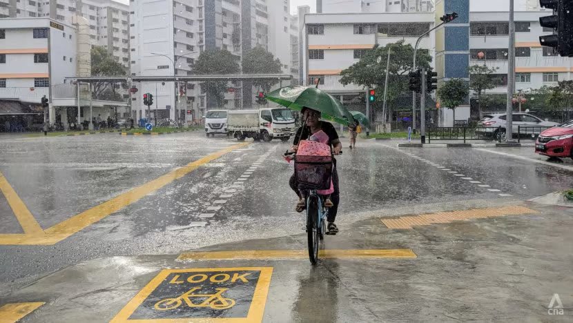 Mengintip cara jitu Singapura mengatasi banjir Mengintip cara jitu Singapura mengatasi banjir