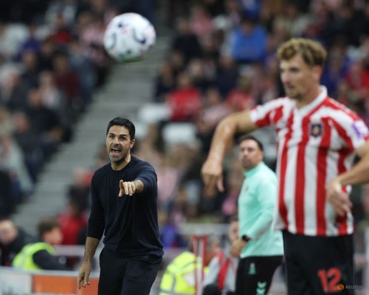 Sunderland's disputed penalty against Arsenal was wrong, says panel