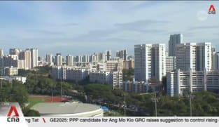 GE2025: Political parties put forward proposals to tackle public housing concerns