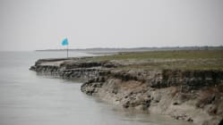 Related article image
