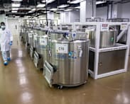 Cordlife faces one-year suspension over serious lapses in cord blood banking operations
