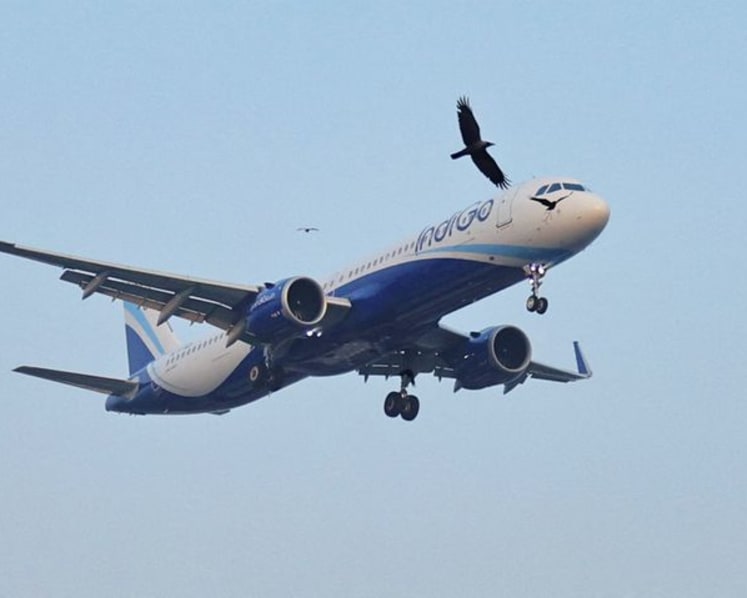India's competition regulator orders probe into IndiGo after mass flight cancellations