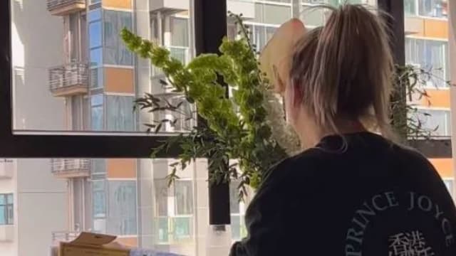 半夜晒郑欣宜唱歌　绯闻男友曝现况