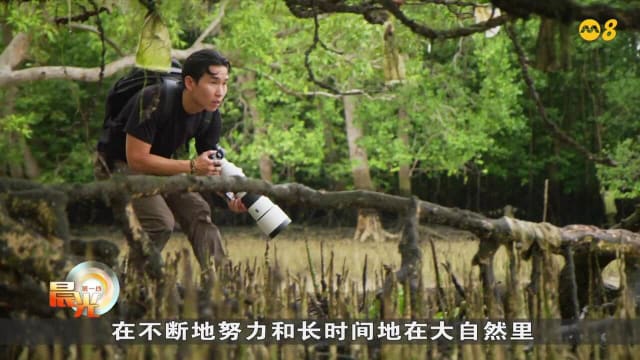 晨光|镜看世界：捕捉野生动物百态 摄影师为环保发声
