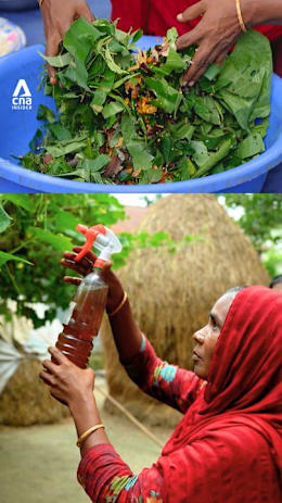 These farmers make their own pesticides — and save money