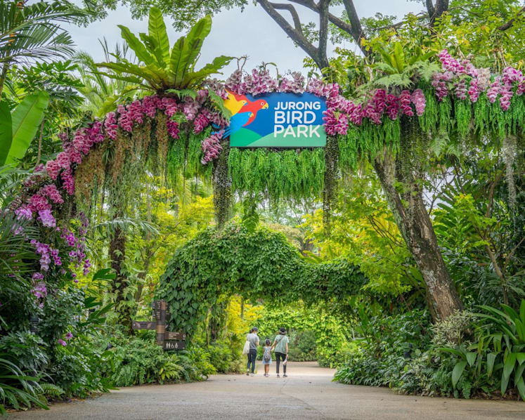 Jurong Bird Park to close on Jan 3, 2023, ahead of move to Mandai