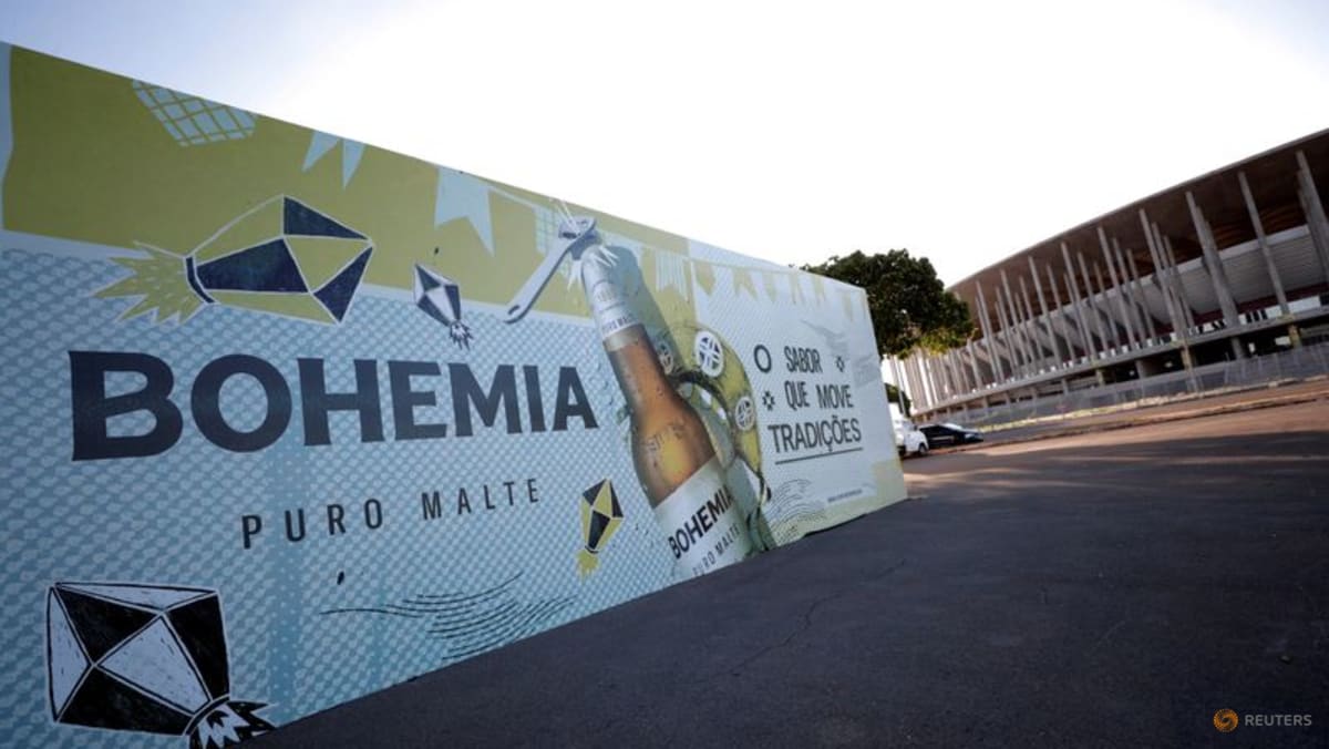 France, retail, beverage stocks: Brazil brokerage picks World Cup favourites