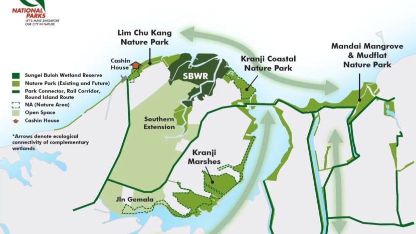 Related article image