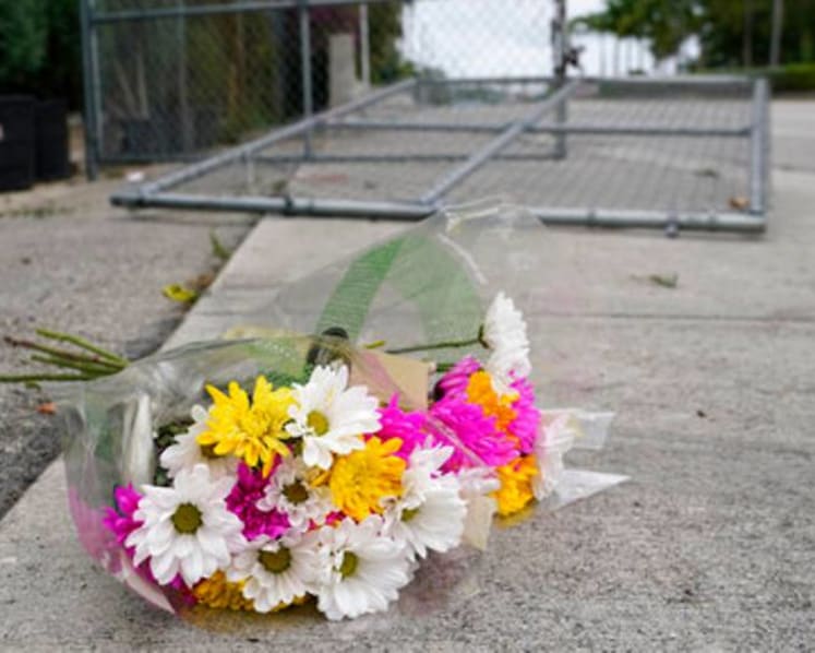 Deadly Pride parade crash appears unintentional: Official