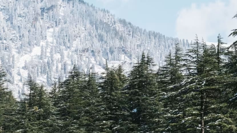 12 pendaki M'sia hilang di Himachal Pradesh