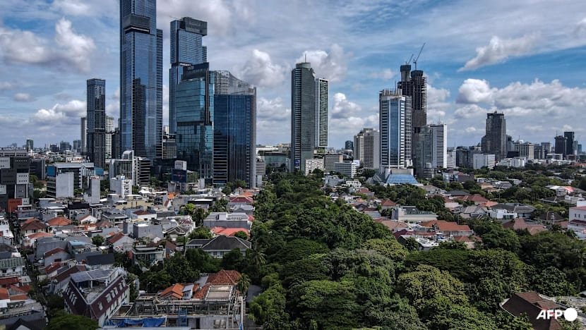 Indonesia’s finance minister calls World Bank GDP growth downgrade a 'serious mistake'