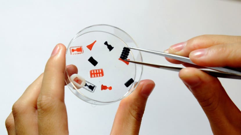 NUS develops 3D-printed customised tablets that release drugs at different rates