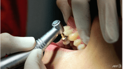 Related article image