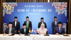 Related article image