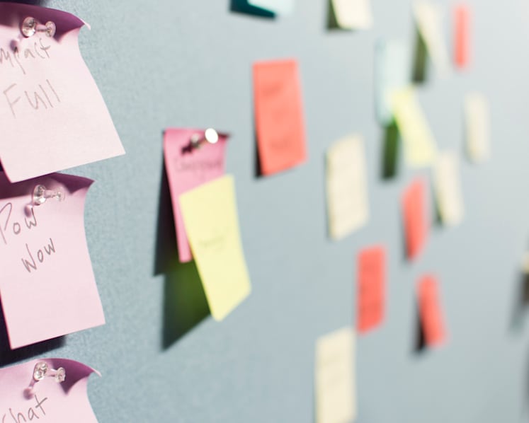 Finding meaningful work at a social enterprise or non-profit