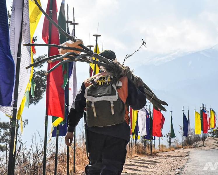 Bhutan’s tree warrior: Spreading life in the world’s most climate conscious nation
