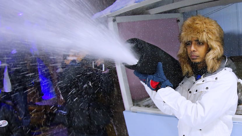 Snow Realastic 'Realistic, fine snow' part of Snow City revamp - CNA
