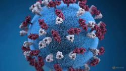 Related article image