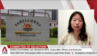 Parliament unveils nomination of members for its Select Committees 