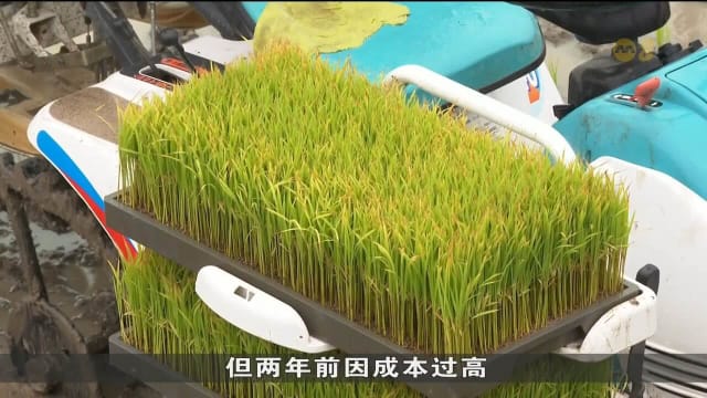 美日关税谈判聚焦大米 日本稻米价格仍会继续上涨