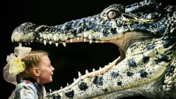 Related article image