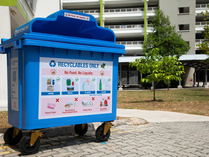 Singapore's domestic recycling rate fell from 13 per cent in 2021 to 12 per cent in 2022, the National Environment Agency said.