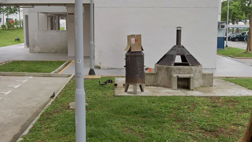 Woman, 74, charged with repeatedly feeding pigeons in Chai Chee