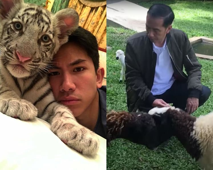 From Tharman’s cats to Jokowi’s goats: The beloved pets of 7 world leaders
