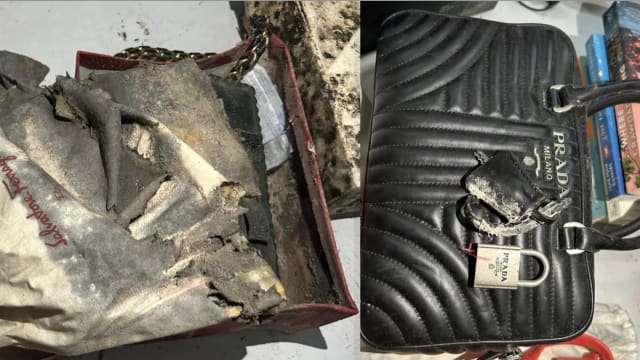 女子申诉奢侈品存自助仓库一年全发霉 损失惨重